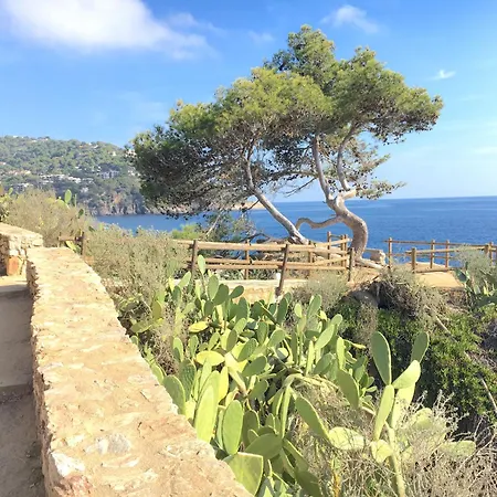 Apartment 1 Monts - Llafranc