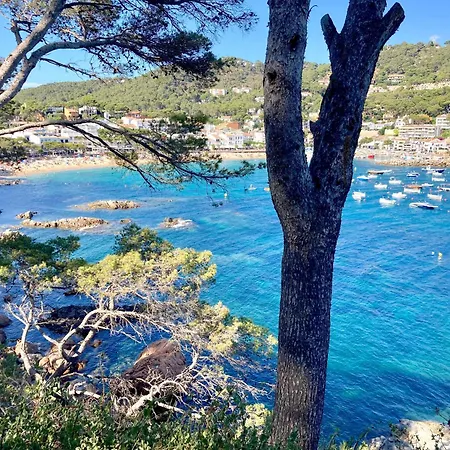 1 Monts - Apartment